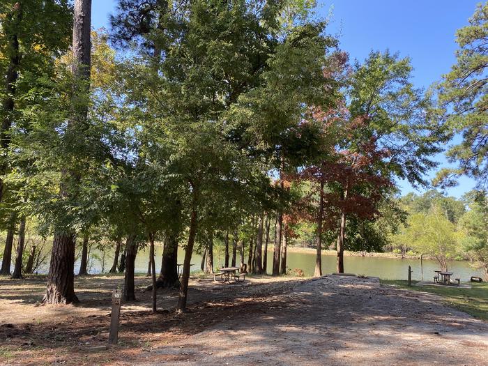 A photo of Site 18 of Loop LOOB at HANKS CREEK with Picnic Table, Electricity Hookup, Fire Pit, Shade, Waterfront, Lantern Pole, Water Hookup