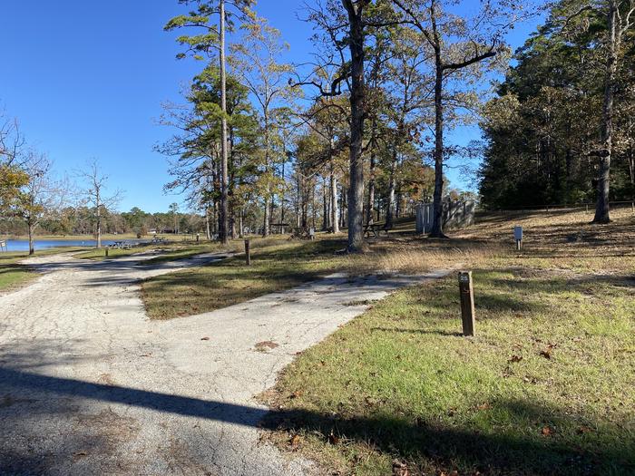 A photo of Site 25 of Loop LOOA at SAN AUGUSTINE with Picnic Table, Electricity Hookup, Fire Pit, Waterfront, Lantern Pole, Water Hookup