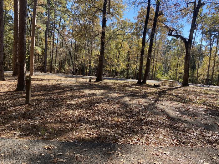 A photo of Site 95 of Loop LOOG at SAN AUGUSTINE with Picnic Table, Electricity Hookup, Fire Pit, Shade, Water Hookup