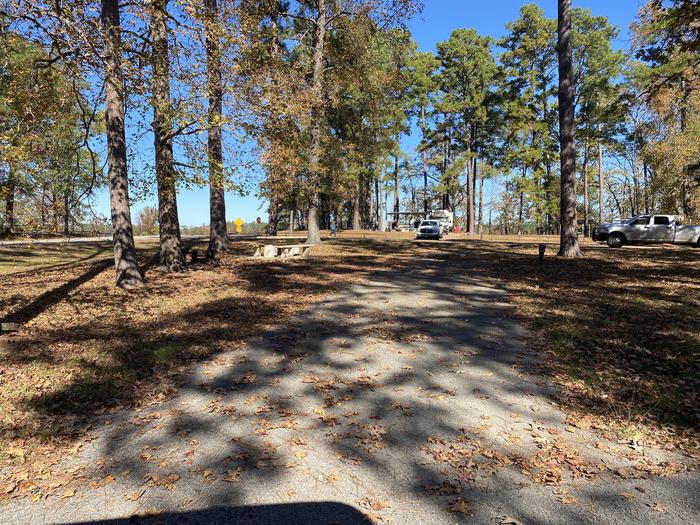 A photo of Site 53 of Loop LOOB at SAN AUGUSTINE with Picnic Table, Electricity Hookup, Fire Pit, Shade, Lantern Pole, Water Hookup