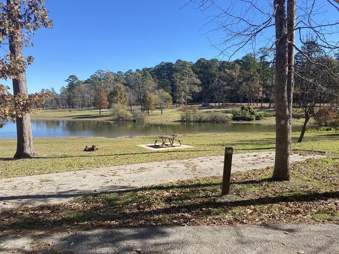 A photo of Site 36 of Loop LOOC at SAN AUGUSTINE with Picnic Table, Electricity Hookup, Fire Pit, Waterfront, Water Hookup