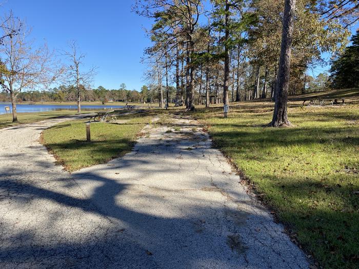 A photo of Site 23 of Loop LOOA at SAN AUGUSTINE with Picnic Table, Electricity Hookup, Fire Pit, Waterfront, Water Hookup