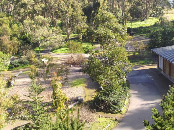 Trees and paved walkways at Rob Hill CampgroundRob Hill Campground is surrounded by a grove of Eucalyptus trees. The four campsites are arranged around a communal central space, pictured here. 