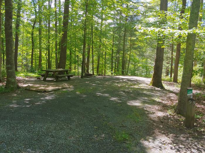 Camping pad with picnic table and fire ring and trees Campsite #9 Hemlock Loop 