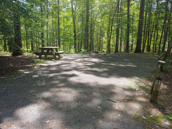 Parking area and camping pad with picnic table, fire ring and trees Site #11 Hemlock Loop