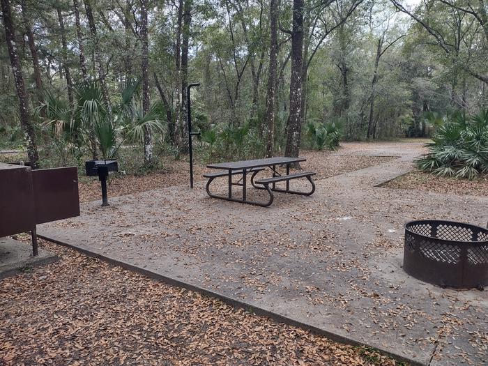 Site 49 - AccessibleAmenities: picnic table, fire ring, light pole, grill, bear-proof storage locker