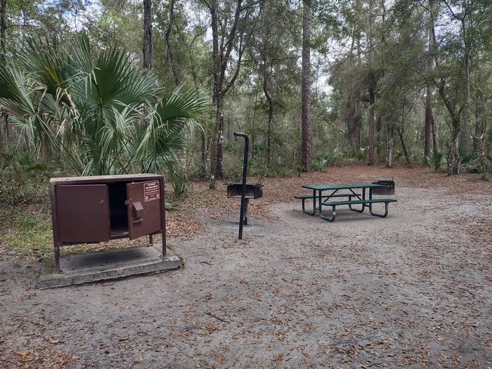 View of site 59Amenities: picnic table, fire ring, light pole, grill, bear-proof storage locker