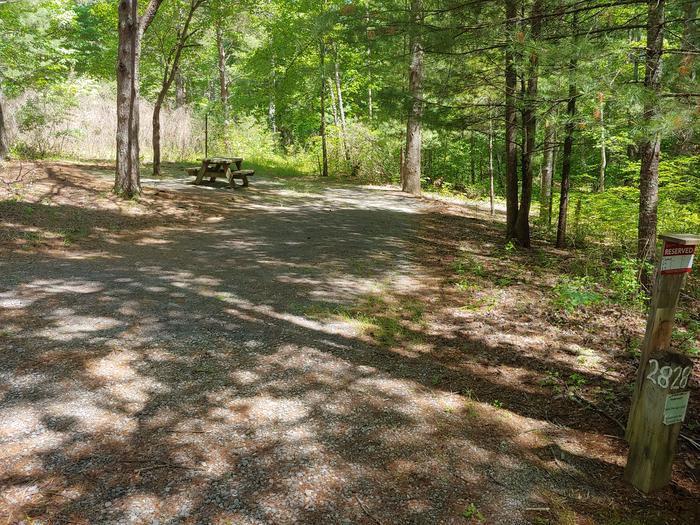 Parking area and camping pad with picnic table, fire ring and treesCampsite #28 Lone Pine loop