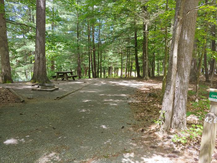 Parking area with camping pad and picnic table, fire ring and treesCampsite #42 Big Oak Loop
