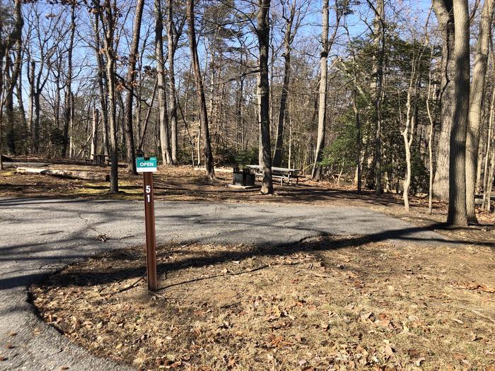 A photo of Site B51 of Loop LOOP B at GREENBELT CAMPGROUND with Picnic Table