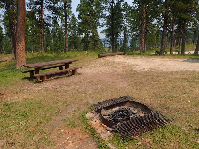 Whitetail Site 1PICNIC TABLE AND FIRE RING