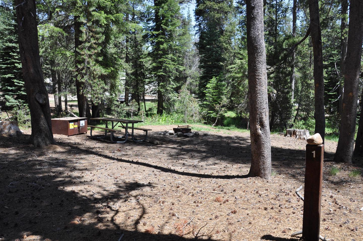 Yosemite Creek Campground Site 1