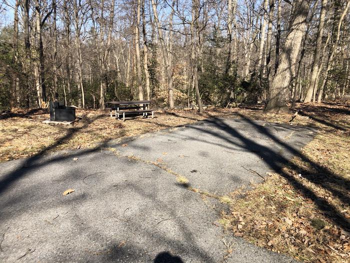 A photo of Site B43 of Loop LOOP B at GREENBELT CAMPGROUND with Picnic Table
