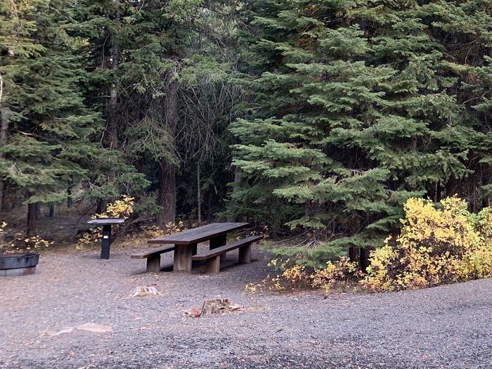 Campsite #9Cold Springs Site #9