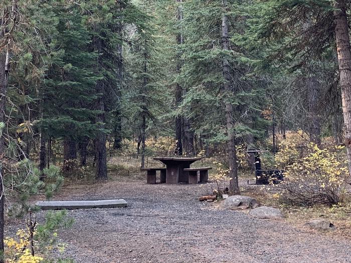 Site #8Cold Springs Campsite #8