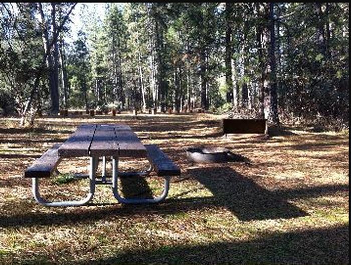 Picnic Table and surrounding area