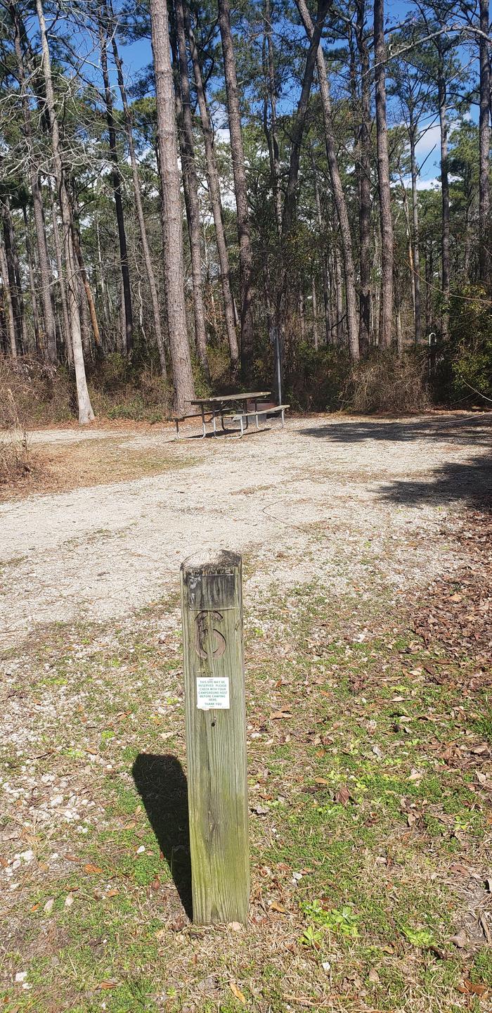 Oyster Point Campsite #6'First Come-First Served Basic Campsite - Tent Pad, Picnic Table, Fire Ring, Lantern Post