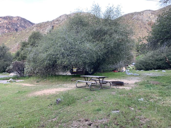 A photo of Site 25 of Loop Potwisha at POTWISHA CAMPGROUND with Picnic Table, Food Storage, Tent Pad