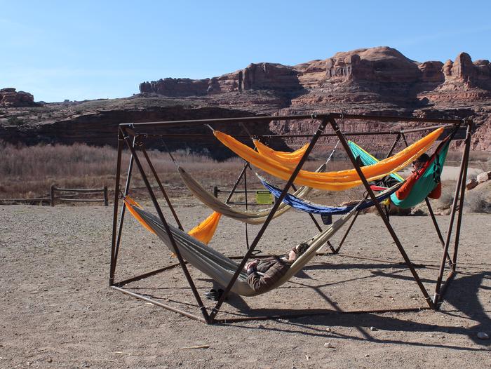 Hammock structure at site B