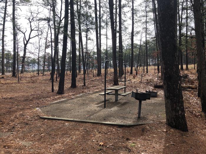 A photo of Site 065 of Loop NORTH SHORE at CEDAR LAKE (OKLAHOMA) with Picnic Table, Fire Pit, Tent Pad, Lantern Pole