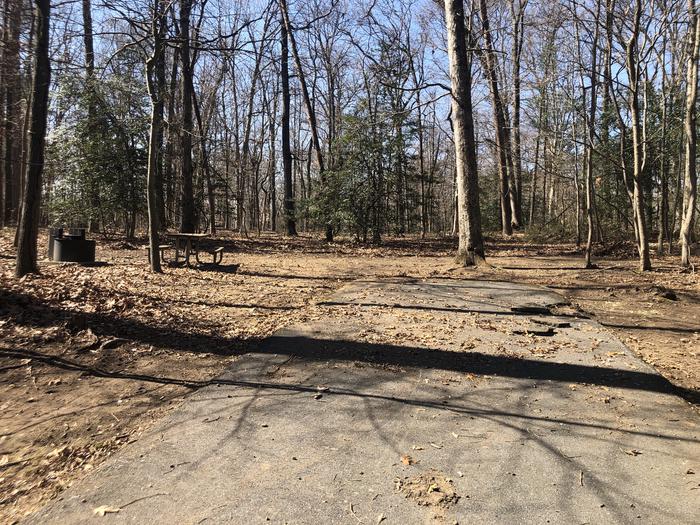 A photo of Site D113 of Loop LOOP D at GREENBELT CAMPGROUND with Picnic Table