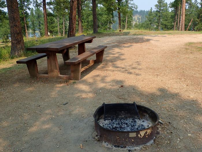 WHITETAIL SITE 15TABLE AND FIRE RING