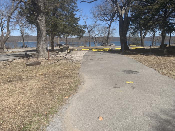 A photo of Site 40 of Loop SLAN at STRAYHORN LANDING with Picnic Table, Electricity Hookup, Waterfront