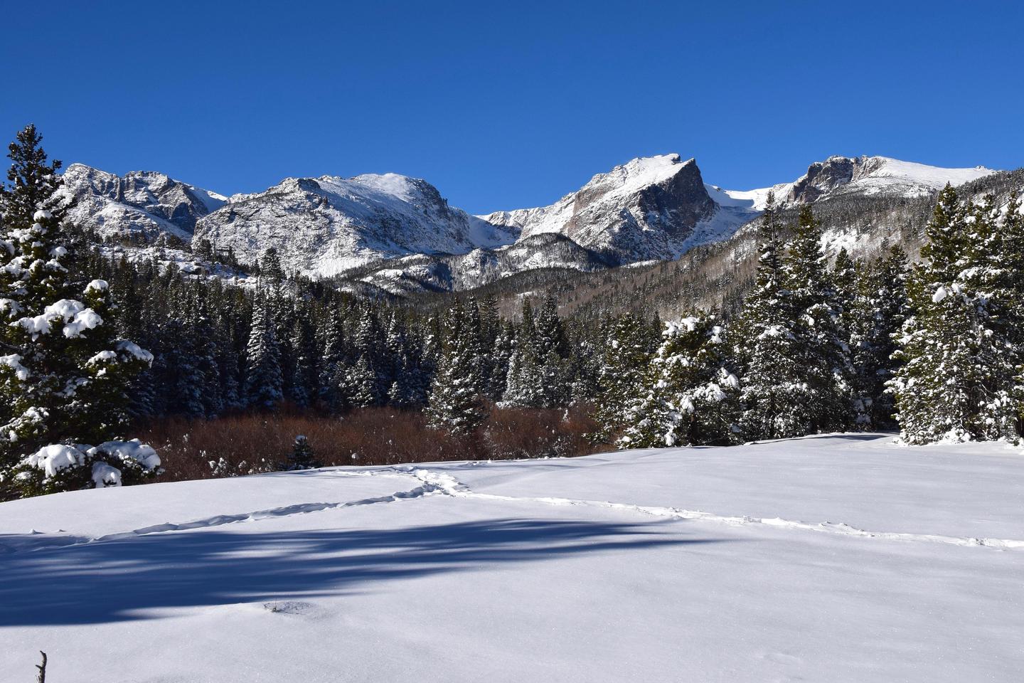 Preview photo of Rocky Mountain National Park