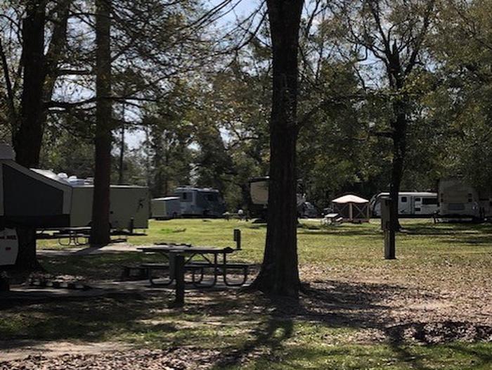 Preview photo of Davis Bayou Campground