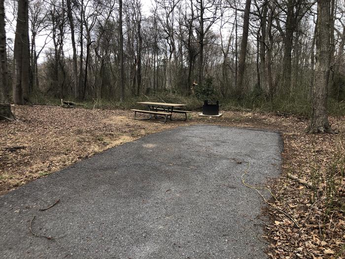 A photo of Site D131 of Loop LOOP D at GREENBELT CAMPGROUND with Picnic Table