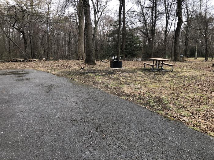 A photo of Site D133 of Loop LOOP D at GREENBELT CAMPGROUND with Picnic Table