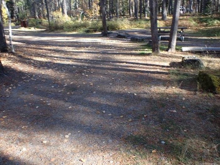 A bare driveway leading to the campground with leaves scattered on it.Driveway to Site #3.