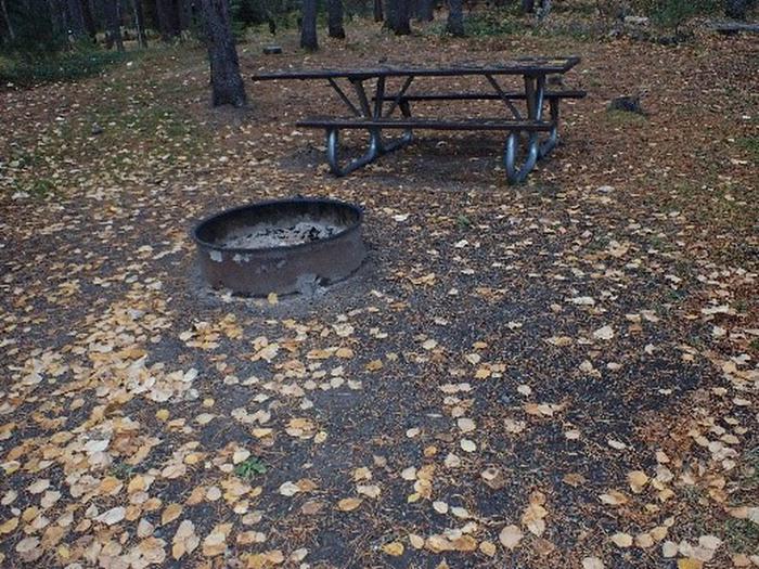 Picnic table and fire circle with brown leaves covering a gravel campsite.