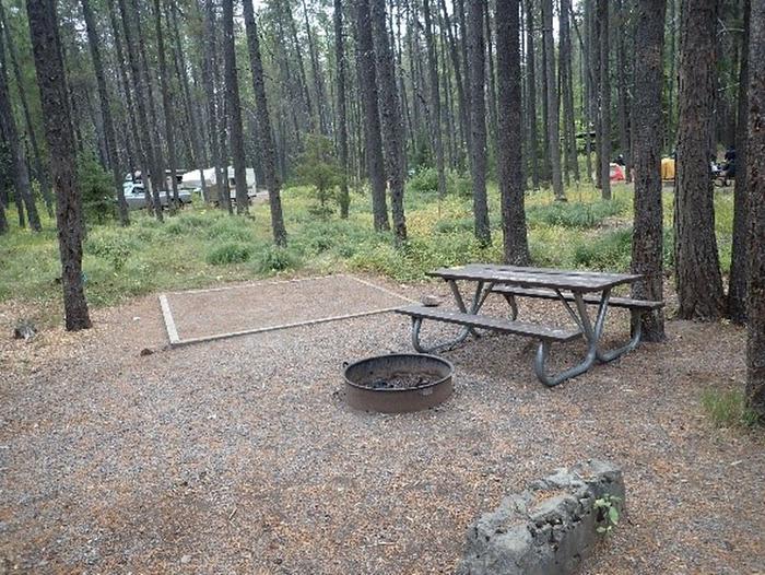 Picnic table, fire circle, and tent pad at a wooded campsite.