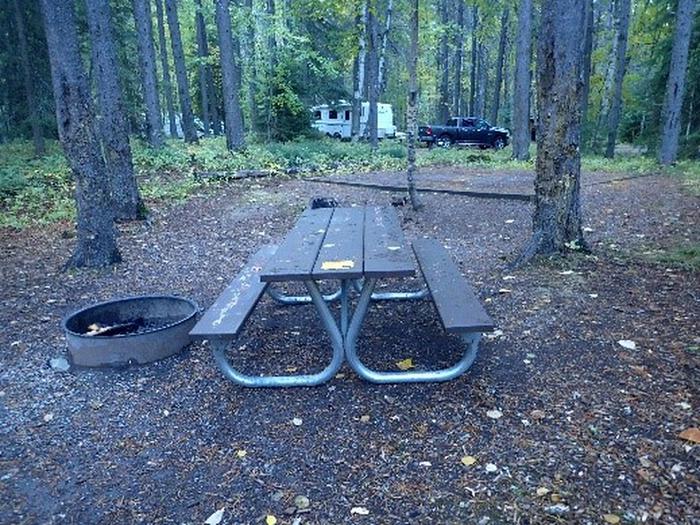 Picnic table, campfire ring, and tent pad in background in a wooded campsite.