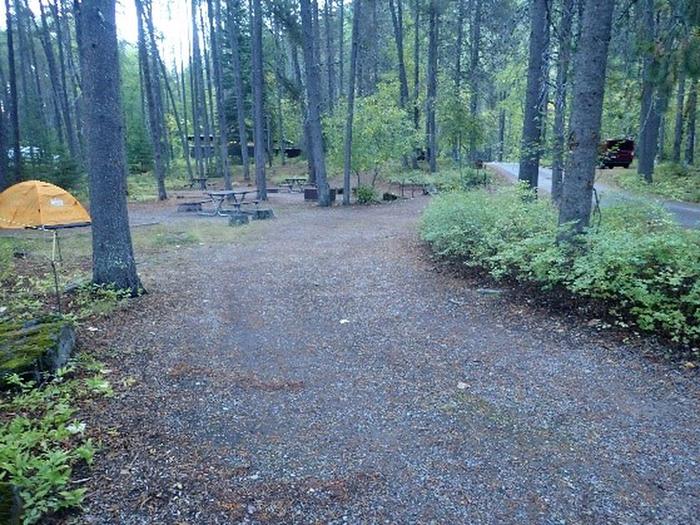 Gravel driveway to campsite in the woods.