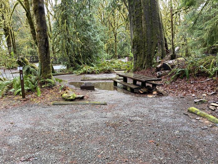 A photo of Site 022 of Loop FALLS CREEK CAMPGROUND at FALLS CREEK CAMPGROUND with Picnic Table, Fire Pit