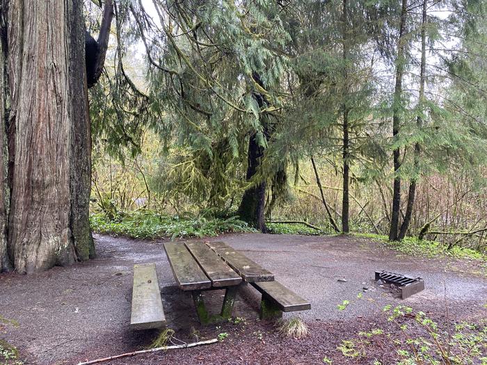 A photo of Site 010 of Loop FALLS CREEK CAMPGROUND at FALLS CREEK CAMPGROUND with Picnic Table, Fire Pit, Tent Pad, Waterfront