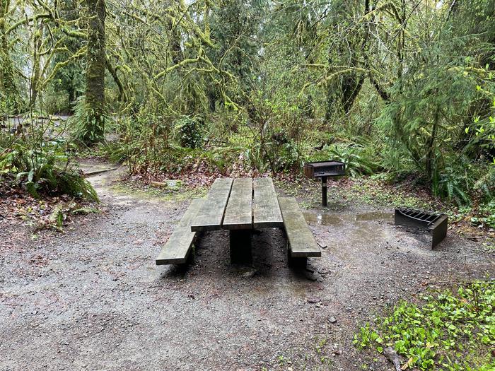A photo of Site 017 of Loop FALLS CREEK CAMPGROUND at FALLS CREEK CAMPGROUND with Picnic Table, Fire Pit