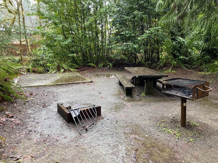 A photo of Site 019 of Loop FALLS CREEK CAMPGROUND at FALLS CREEK CAMPGROUND with Picnic Table, Fire Pit, Tent Pad