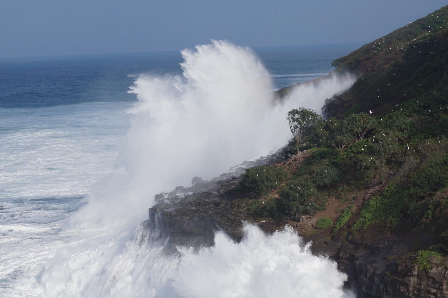 Big wave hits coastline