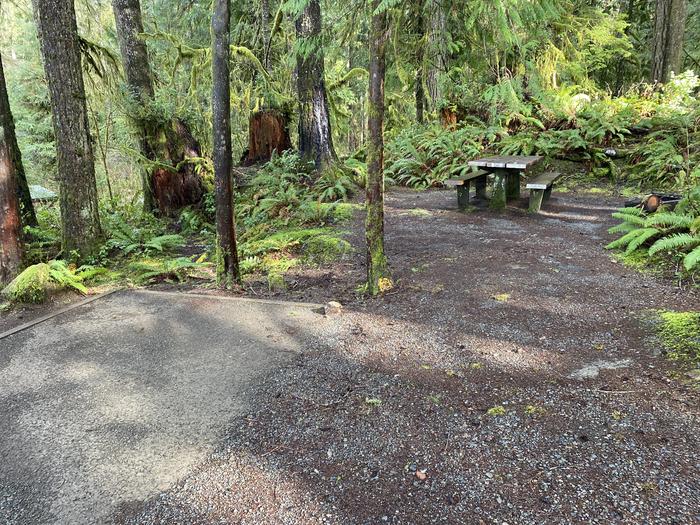 A photo of Site 004 of Loop Willaby at WILLABY CAMPGROUND with Picnic Table, Fire Pit, Tent Pad