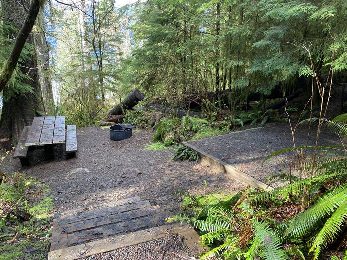 A photo of Site 018 of Loop Willaby at WILLABY CAMPGROUND with Picnic Table, Fire Pit, Tent Pad