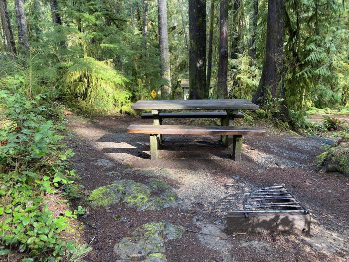 A photo of Site 002 of Loop Willaby at WILLABY CAMPGROUND with Picnic Table, Fire Pit, Tent Pad