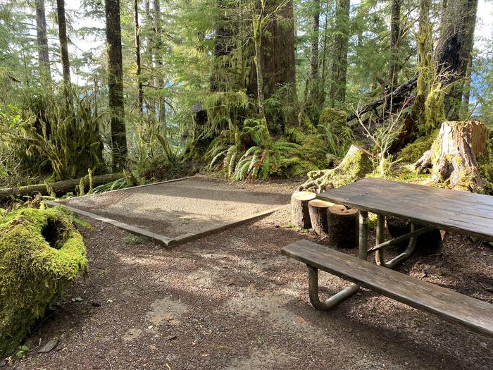 A photo of Site 021 of Loop Willaby at WILLABY CAMPGROUND with Picnic Table, Fire Pit