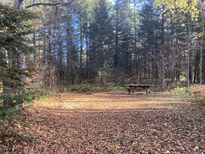 A photo of Site 4 of Loop South Loop at McDougal Lake Campground with Picnic Table, Fire Pit
