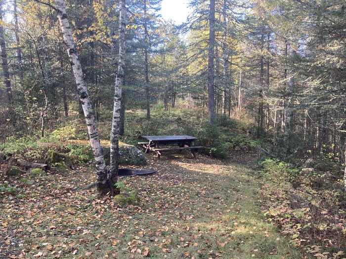 A photo of Site 1 of Loop South Loop at McDougal Lake Campground with Picnic Table, Fire Pit, Shade
