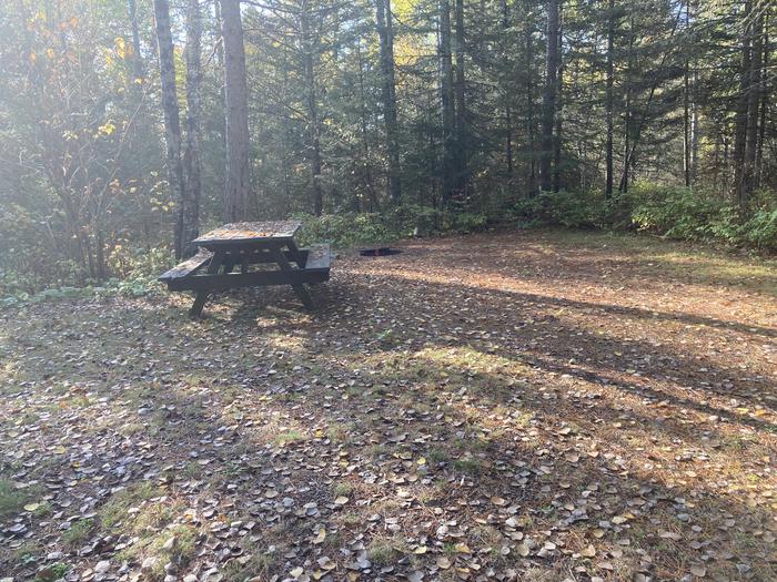 A photo of Site 6 of Loop South Loop at McDougal Lake Campground with Picnic Table