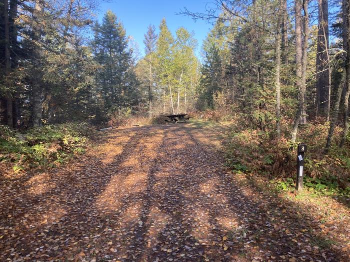 A photo of Site 3 of Loop South Loop at McDougal Lake Campground with Picnic Table, Fire Pit