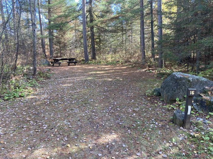 A photo of Site 16 of Loop South Loop at McDougal Lake Campground with Picnic Table